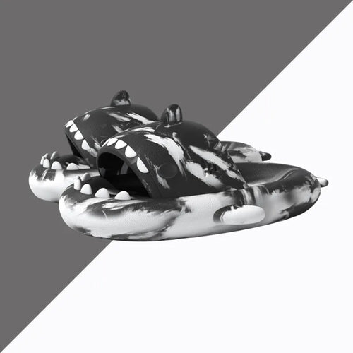Shark Slides