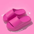 Platform Slides