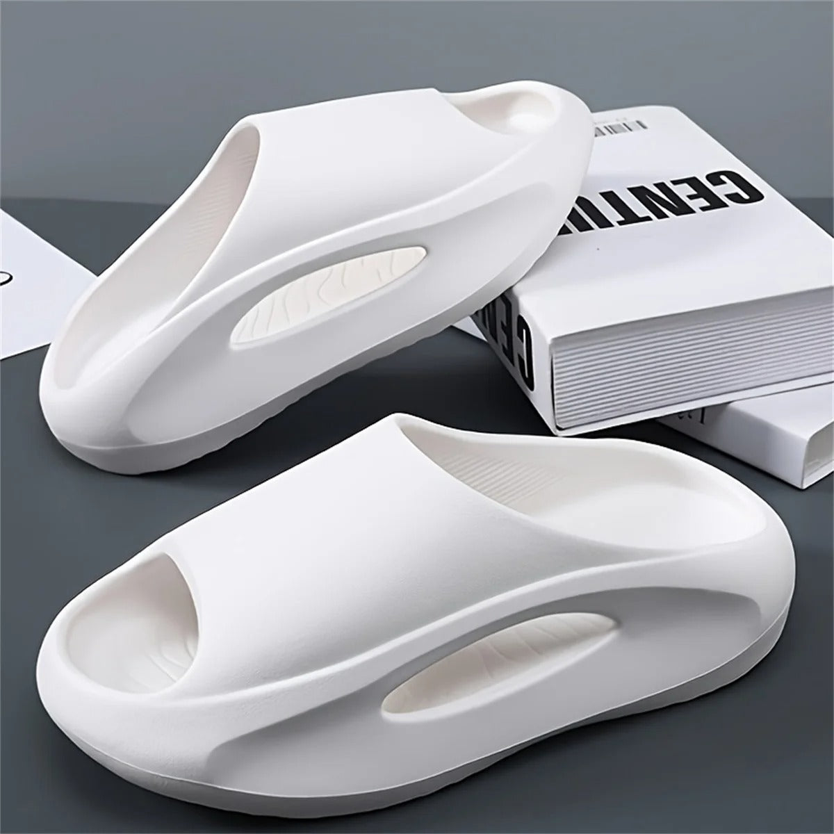 White Spaceship Slides