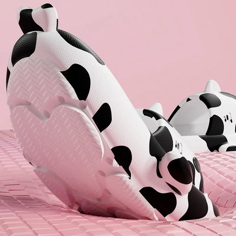 Cow Shark Slides